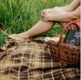 Picknick-Inspiration-klein